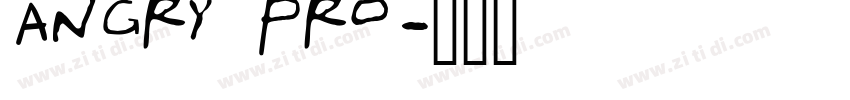 angry pro字体转换